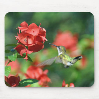 Tapis de souris de colibri