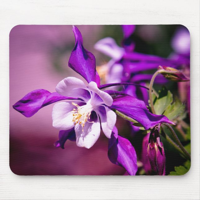 Tapis de souris de Columbine (Devant)