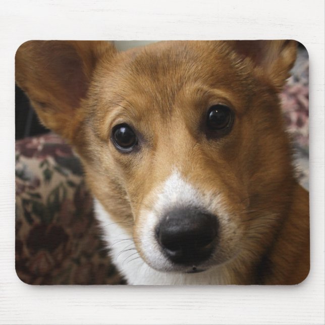 Tapis de souris de corgi de Pembroke (Devant)