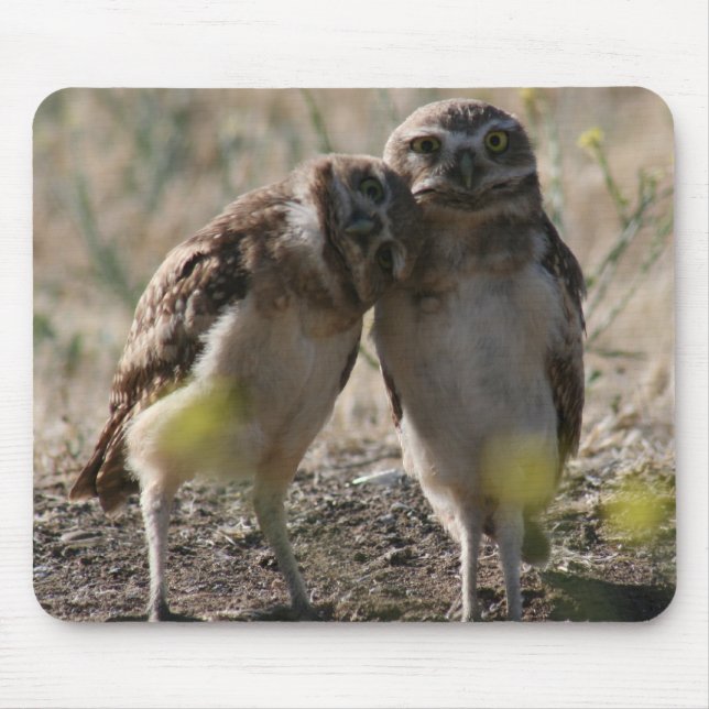 Tapis de souris de couples de hibou (Devant)