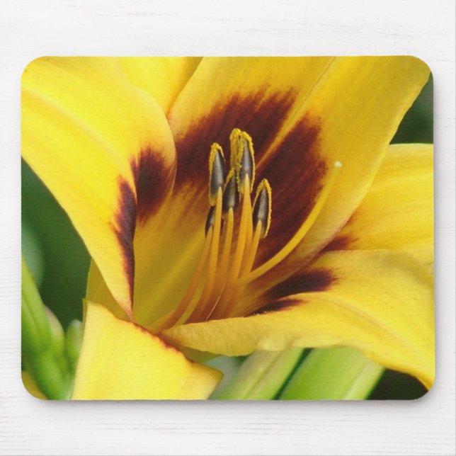 Tapis de souris de début de la matinée (Devant)