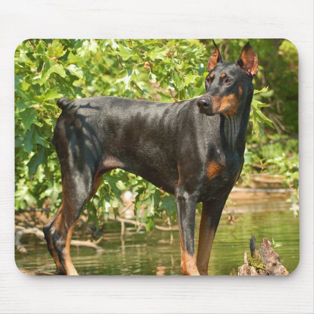 Tapis de souris de dobermann (Devant)