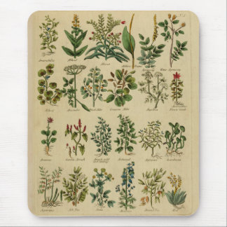 Tapis de souris de fines herbes vintage