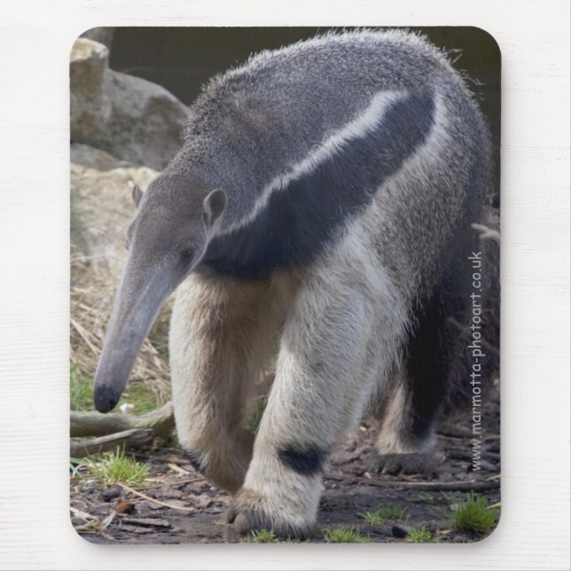 Tapis de souris de fourmilier géant (Devant)