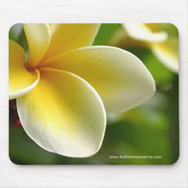 tapis de souris de frangipani (Devant)