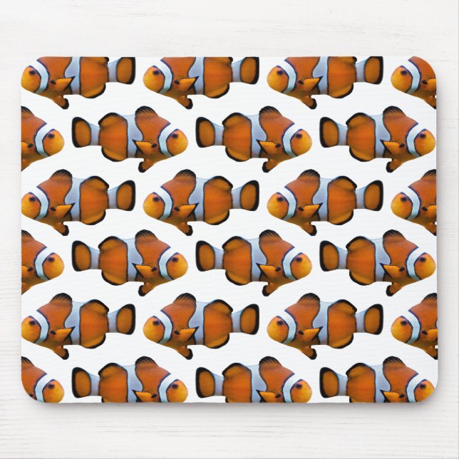 Tapis de souris de frénésie de Clownfish (blanc) (Devant)