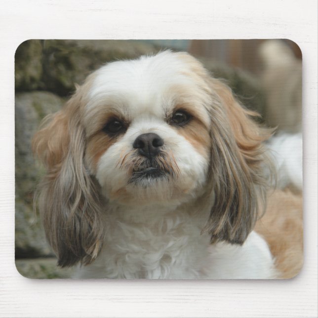 Tapis de souris de Furface (Devant)