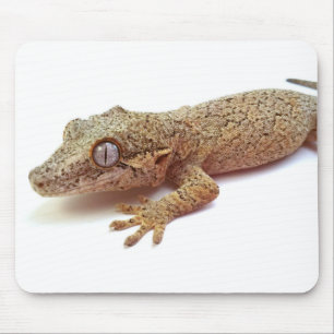 Tapis de souris de Gecko de gargouille