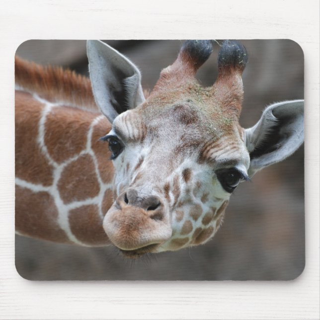 Tapis de souris de girafe (Devant)