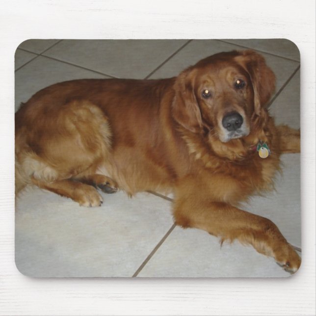 Tapis de souris de golden retriever (Devant)