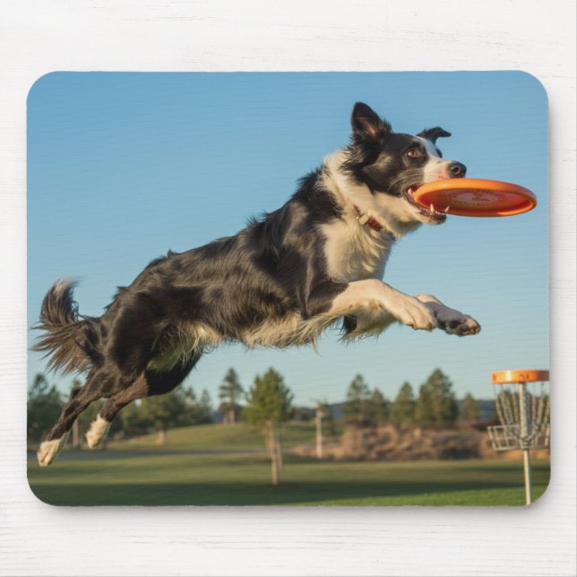Tapis de souris de golf à disque Border Collie (Devant)
