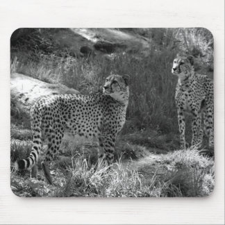 Tapis de souris de guépard