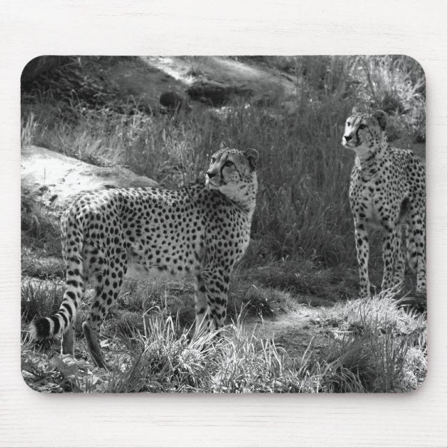 Tapis de souris de guépard (Devant)