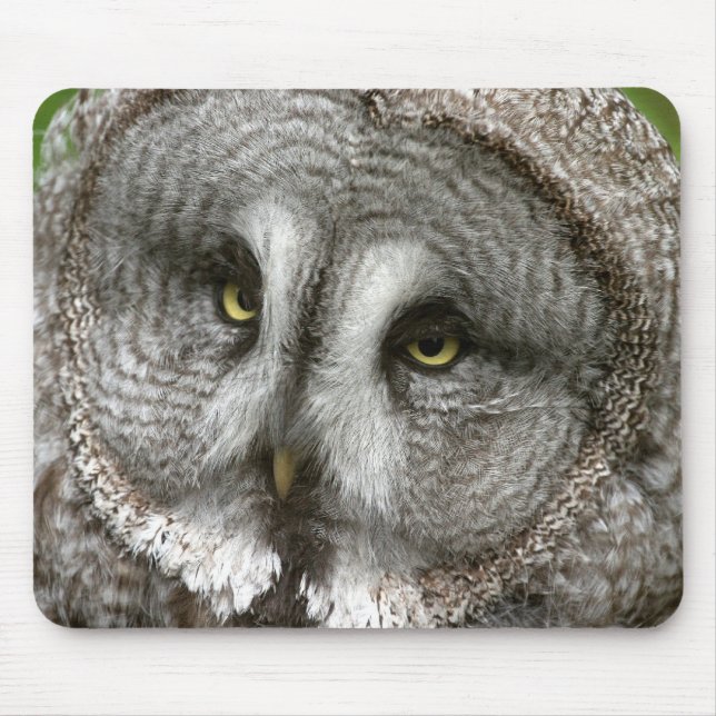 Tapis de souris de hibou de grand gris (Devant)