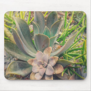 Tapis De Souris De jolis Plantes