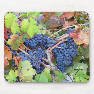 Tapis de souris de la récolte de la vallée de Napa