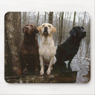 tapis de souris de labrado