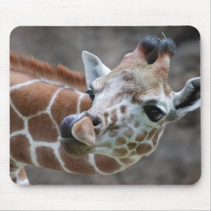 Tapis de souris de langue de girafe
