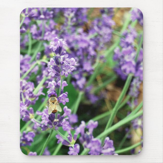 Tapis de souris de lavande et d'abeille (Devant)