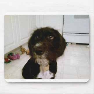 Tapis de souris de Lilypad