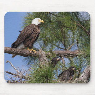 Tapis de souris de l'ordinateur E10 et E11