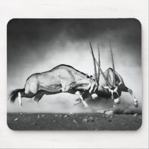 Tapis de souris de lutte des antilopes