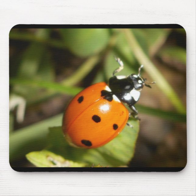 Tapis de souris de Madame Bug (Devant)
