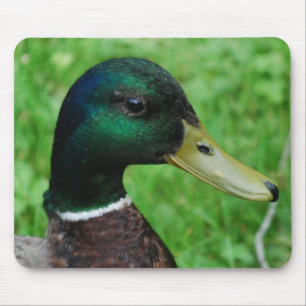 Tapis de souris de Mallard