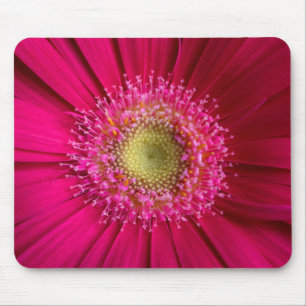 Tapis de souris de marguerite de Gerbera