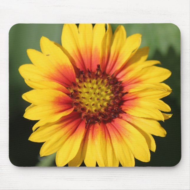 Tapis de souris de marguerite de Gerbera (Devant)