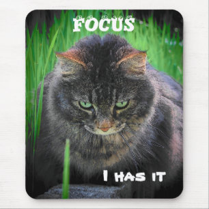 Tapis de souris de mème de chat concentré ou votre