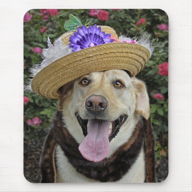 Tapis de souris de Mlle Pickles (Devant)