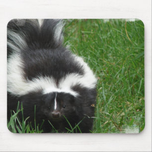 Tapis de souris de mouffette