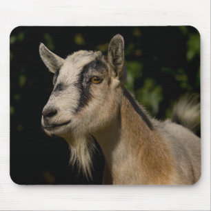 Tapis de souris de observation de chèvre
