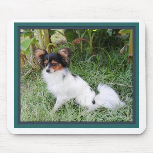 Tapis de souris de Papillion (Devant)