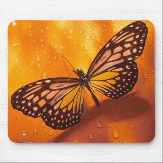 Tapis de souris de papillon