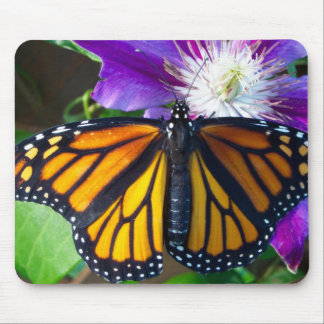 Tapis de souris de papillon d'éblouissement