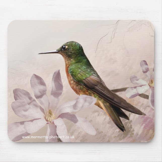 Tapis de souris de Pechicastaños (Devant)