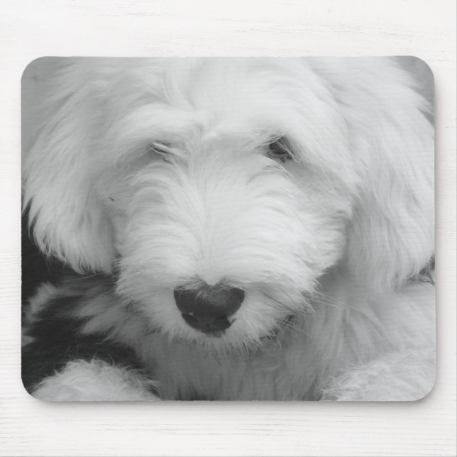 Tapis de souris de photo de chien de moutons (Devant)