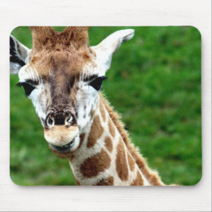 Tapis de souris de photo de girafe