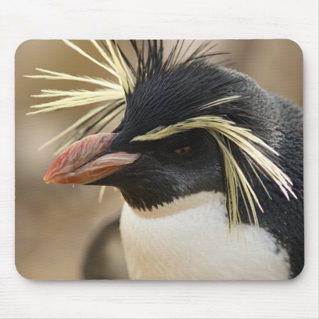 Tapis de souris de pingouin de Rockhopper (Devant)