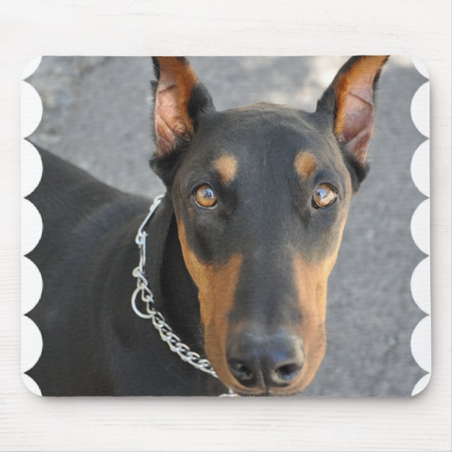 Tapis de souris de Pinscher de dobermann (Devant)