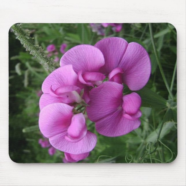 Tapis de souris de pois doux (Devant)