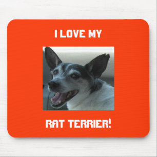 Tapis de souris de Rat terrier