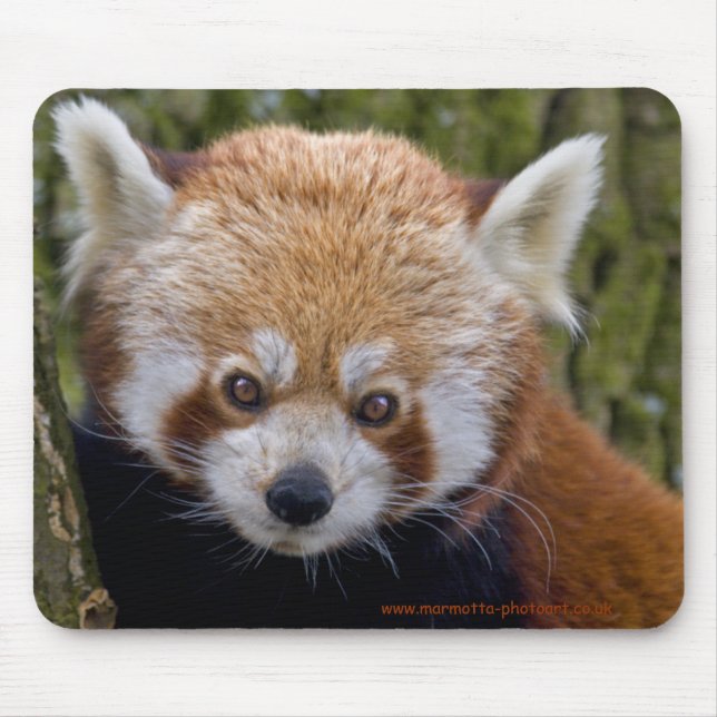 Tapis de souris de Red Bandit (Devant)