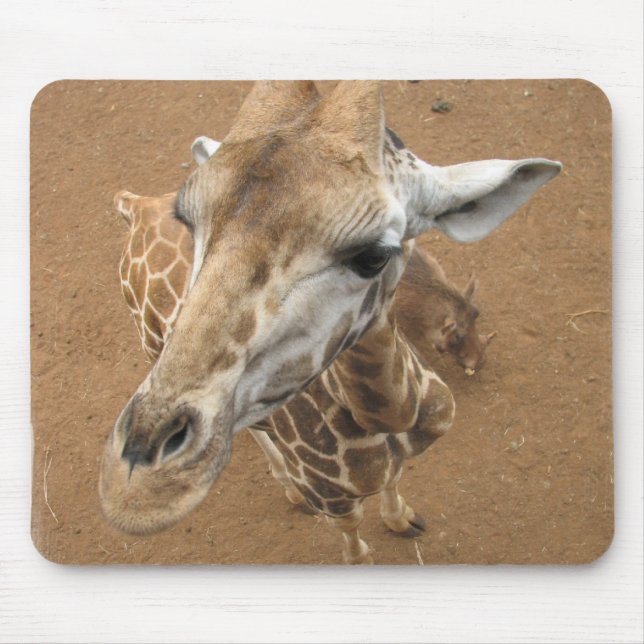 Tapis de souris de regard fixe de girafe (Devant)