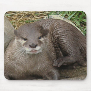 Tapis de souris de repos de loutre