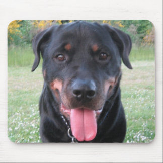 Tapis de souris de Rottie