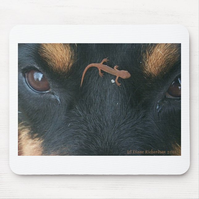 Tapis de souris de rottweiler et de salamandre (Devant)