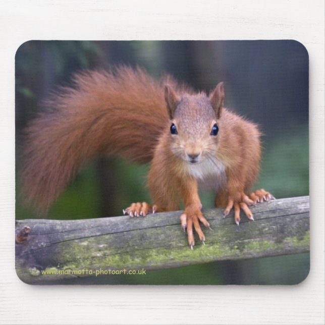 Tapis de souris de rouge de bébé (Devant)